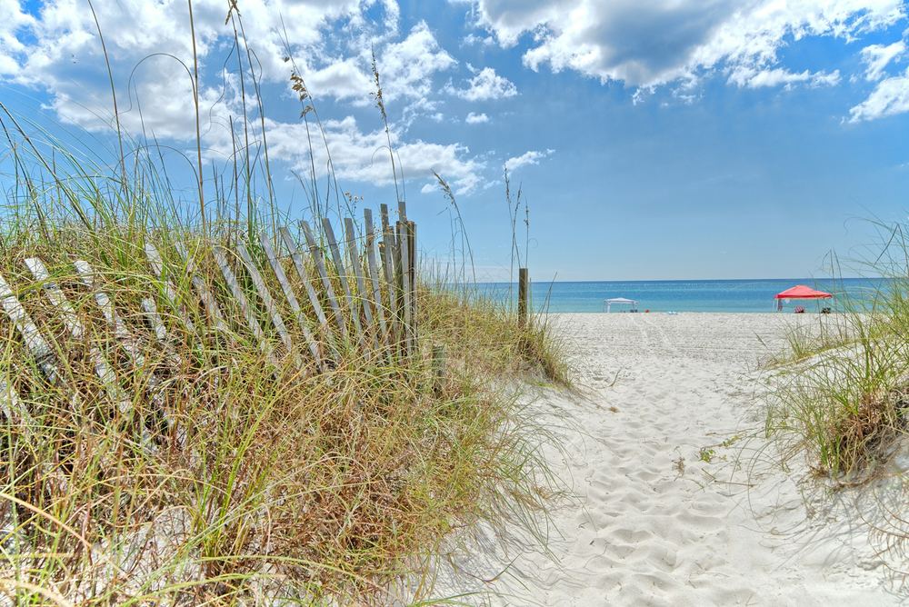 Sandy path through sea oats and a dune fence leading to the beach